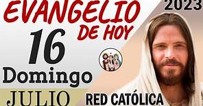 Evangelio de Hoy Domingo 16 de Julio de 2023 | REFLEXIÓN | Red Catolica