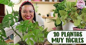 10 PLANTAS DE INTERIOR MÃS FÃCILES DE CUIDARâ”‚Candy Bu