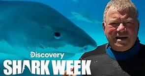 William Shatner Overcomes His Fear of Sharks | Shark Week