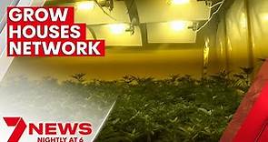 Albanian brothers jailed over cannabis grow house network across Adelaide | 7NEWS