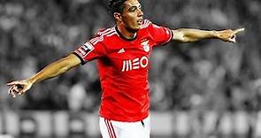 Oscar "Takuara" Cardozo | SL Benfica | All 172 Goals | 2007-2014