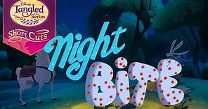 Night Bite 🐛 | Tangled: The Series: Short Cuts | Disney Channel