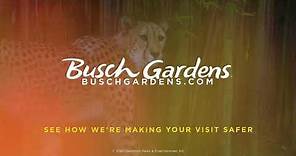 Welcome Back | Busch Gardens Tampa Bay