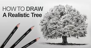 How to Draw a Tree (Realistic)