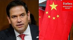 Marco Rubio: This 'Bipartisan Consenus' Has Allowed The CCP To Become A Major Threat