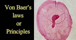 von Baer's Laws I von Baer's Principle I Karl Ernst von Baer I Developmental Biology I Embryology