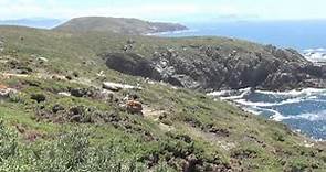 Visita a la Isla de Ons - Parque Nacional Islas Atlánticas. Naturaleza en la costa gallega