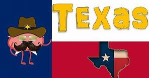 Historia Breve de la República de Texas - Breve Historia de Texas - México y Texas
