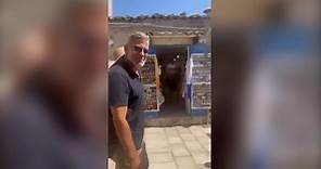 Il video di George Clooney a Marzamemi con Amal e gli amici: deve andare a una festa