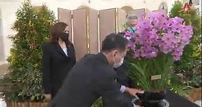 US Vice President Kamala Harris gets orchid named after her | Video