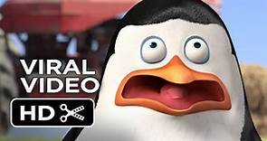 Penguins of Madagascar VIRAL VIDEO - Nerves of Steel (2014) - Benedict Cumberbatch Movie HD