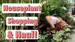 Houseplant Shopping at Walmart, Lowe's, & Home Depot! Big Box Store Indoor Plant Haul!