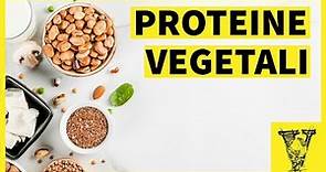 Proteine vegetali: cosa dobbiamo conoscere
