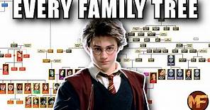 How EVERY Harry Potter Character is RELATED (All Family Trees Explained)