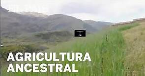 Aynoqas y Taqanas en Bolivia. Agricultura ancestral.