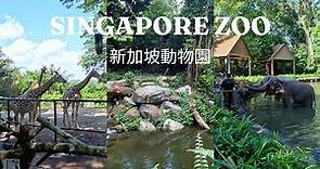Singapore Zoo - Mandai Wildlife Reserve [Singapore] Travel Guide 2023 [4K] 動物園新加坡 旅游景點