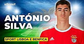 How Good Is António Silva at Benfica?