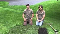 How To Install Sod