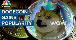 Dogecoin's popularity soars — Robinhood and Coinbase benefit