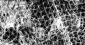 The Man in the Net 1959 -Trailer