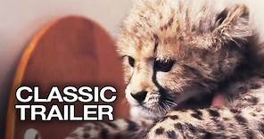 Duma (2005) Official Trailer #1 - Cheetah Movie HD