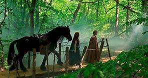 Family Fantasy Adventure Films : Albion- The Enchanted Stallion