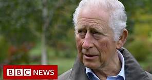 Prince Charles tells BBC his Aston Martin runs on wine and cheese - BBC News