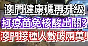 🔴澳門健康碼再升級！打完疫苗免核酸出關？澳門接種人數破兩萬人？｜how is macau now｜work in macau｜澳門自由行｜澳門近況｜VLOG｜CC字幕｜日更頻道