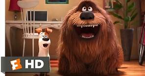 The Secret Life of Pets - The Owners Return Scene (10/10) | Movieclips