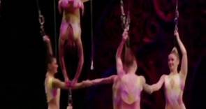 Performers injured after circus act fall
