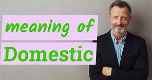 Domestic | Meaning of domestic