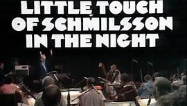 HARRY NILSSON In Concert - A Little Touch Of Schmilsson In The Night