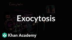 Exocytosis | Membranes and transport | Biology | Khan Academy