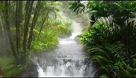 Jungle Music & Tribal Music - Lost Rainforest