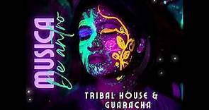 Musica de Antro - Tribal House & Guaracha (Eivar Palma)2023