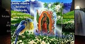 Mi Virgen Ranchera La Dinastia De Tuzantla michoacan..