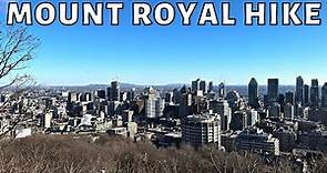 This Mountain Gave Montreal it's Name : Hiking Mount Royal in December 2022