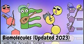Biomolecules (Updated 2023)