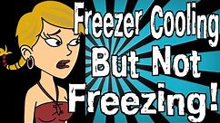 My Freezer is Cooling But Not Freezing!