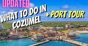 UPDATED Cozumel Cruise Guide | Port Tour + Excursions