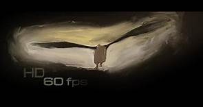 Scott Free Productions - HD 60fps
