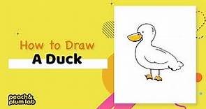 How to Draw a White Duck | Step by Step