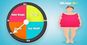 BMI Calculator For Women And Men & What is BMI ?