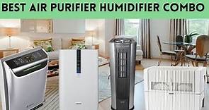 The 4 Best Air Purifier Humidifier Combo Review in 2023