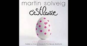 Martin Solveig - I Want You (Radio Edit)