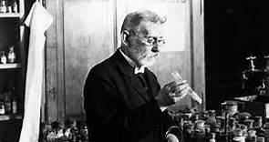 Biography and History of paul ehrlich. paul ehrlich over population.