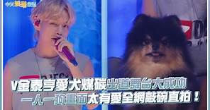 【撩星聞】BTS V金泰亨愛犬煤碳出道舞台大成功 一人一狗畫面太有愛全網敲碗直拍！