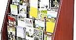 FixtureDisplays® Literature Rack Brochure Holder Leaflet Coupon Stand Greeting Card Rack 9 Tier 45 Facing Travel Information Kiosk 1453 RED-NF