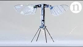 Insect-sized robot takes flight: RoboBee X-Wing