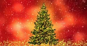 Twinkle Lights Christmas Tree 9 Colored Backgrounds Free Download Merry Christmas!